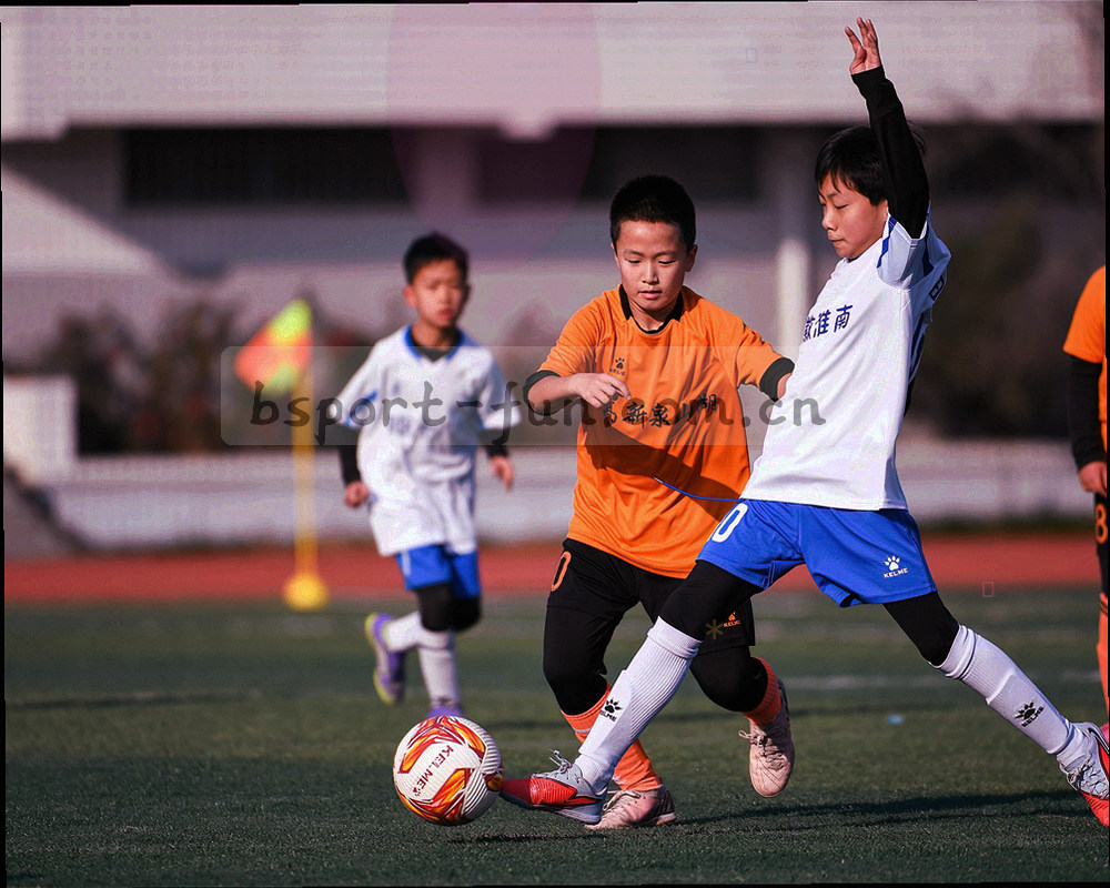 分节表格与核对标记构成的抽象数据审核图